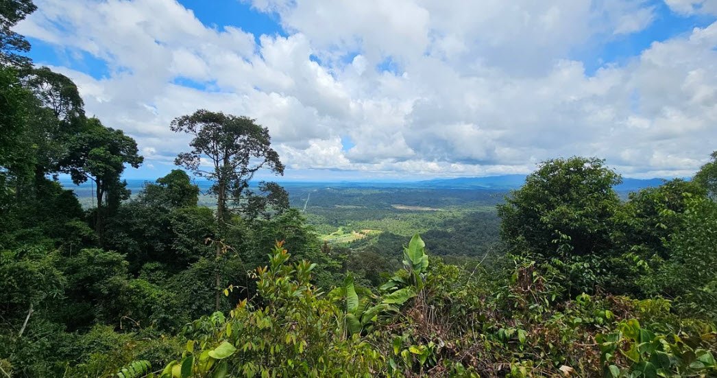 Bukit Patoi Recreational Park, Temburong District, Brunei